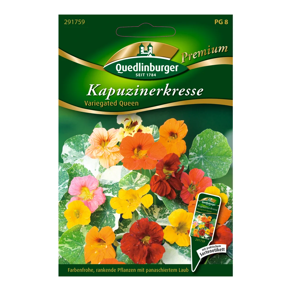 Kapuzinerkresse "Variegated Queen"